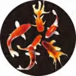 Gobo 1924