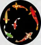 Gobo 1938