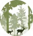 Gobo 2000