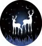 Gobo 2004