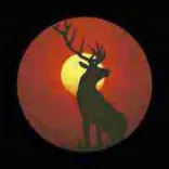 Gobo 2005