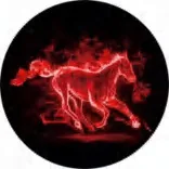 Gobo 2019