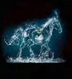 Gobo 2024