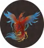 Gobo 2104