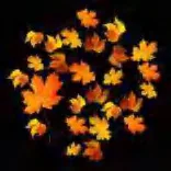 Gobo 2256