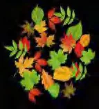 Gobo 2257