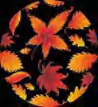 Gobo 2260