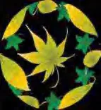 Gobo 2261
