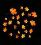 Gobo 2262