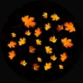Gobo 2263