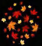 Gobo 2265