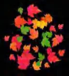 Gobo 2267