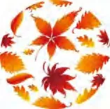 Gobo 2273