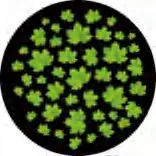 Gobo 2276
