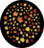Gobo 2278