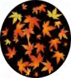 Gobo 2280
