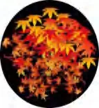 Gobo 2281