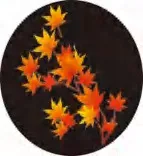 Gobo 2282