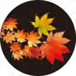 Gobo 2283