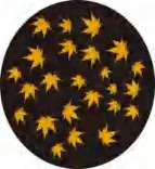 Gobo 2284