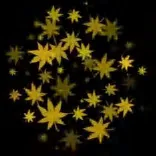 Gobo 2286