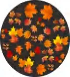 Gobo 2288