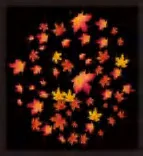 Gobo 2293
