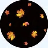 Gobo 2294