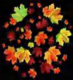 Gobo 2296