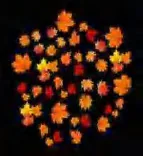 Gobo 2302