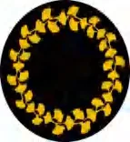 Gobo 2313