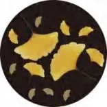 Gobo 2321