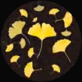 Gobo 2330