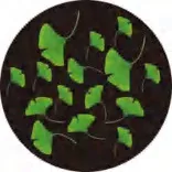 Gobo 2333