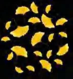 Gobo 2345