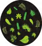 Gobo 2356