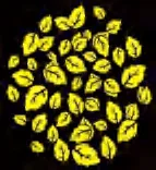 Gobo 2360