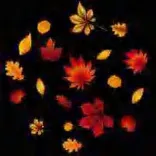 Gobo 2361