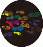 Gobo 2649