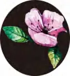 Gobo 2820