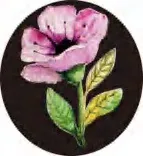 Gobo 2821