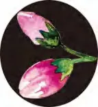 Gobo 2822