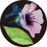 Gobo 2826