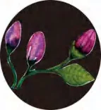 Gobo 2827