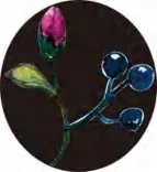 Gobo 2828