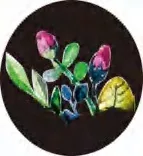 Gobo 2830