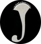 Gobo 3093