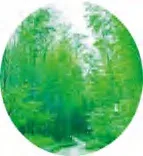 Gobo 512