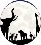 Gobo 516