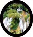 Gobo 521